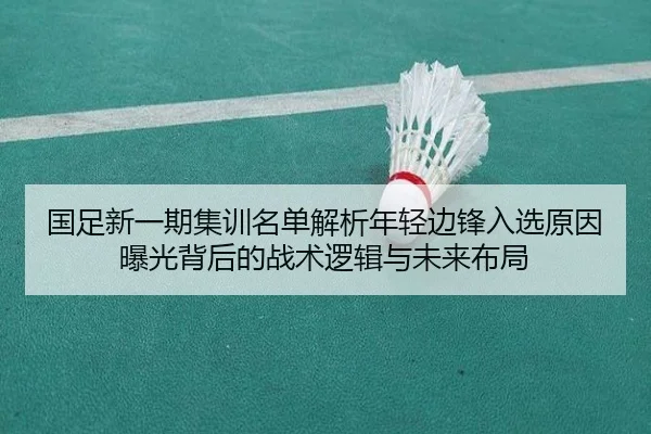 国足新一期集训名单解析年轻边锋入选原因曝光背后的战术逻辑与未来布局